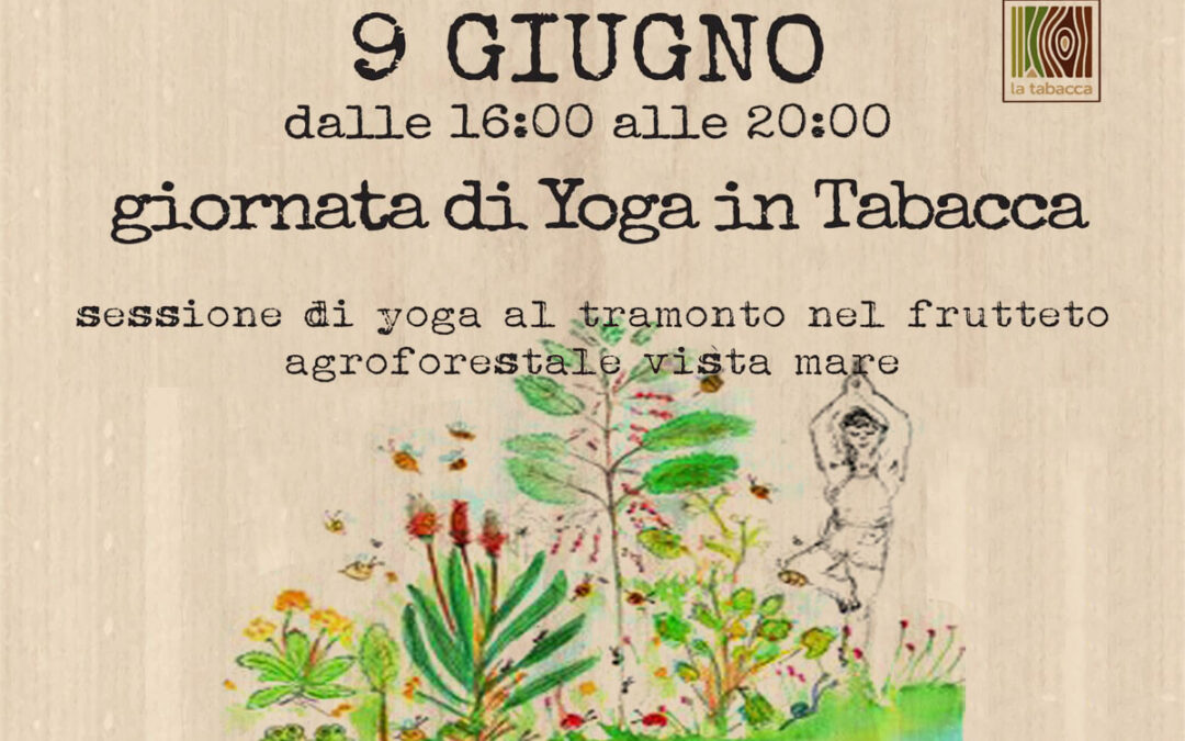 Giornata di yoga in Tabacca